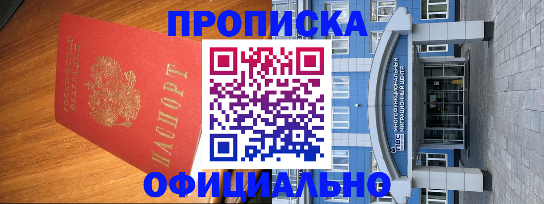 временная регистрация для школы в Лосино-Петровском